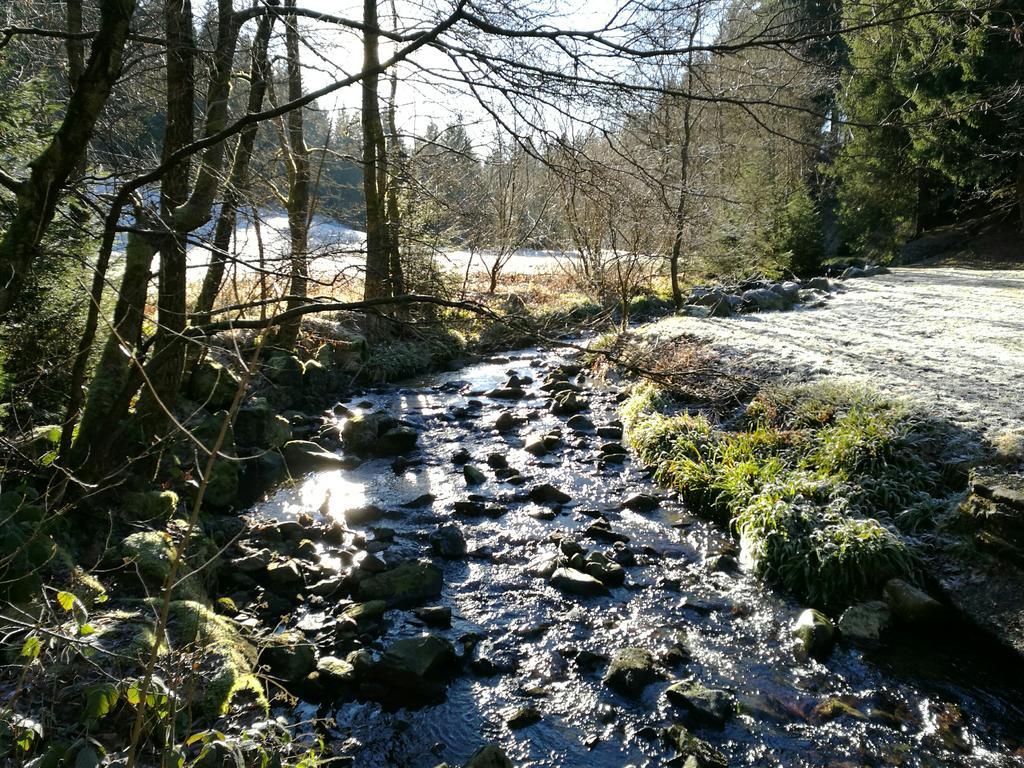Ferienwohnungen Glockenberg Altenau  Exterior foto